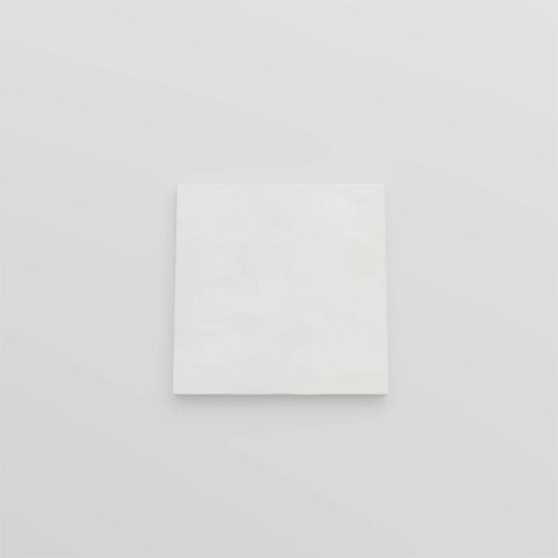Hermes Blanco 6x6 Field - Image 3