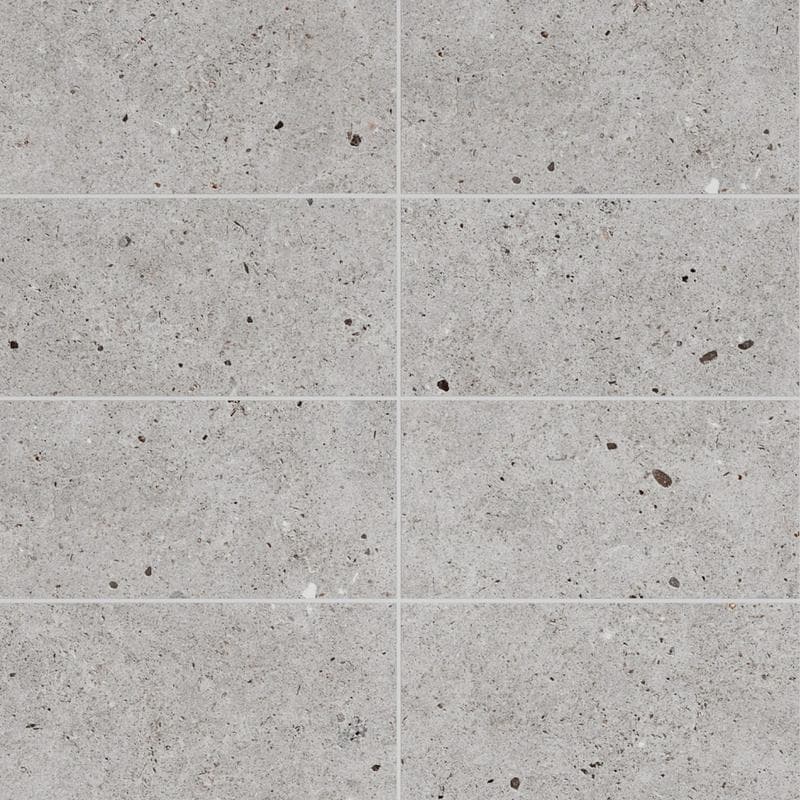 Chantille Gris 12x24 R - Image 1