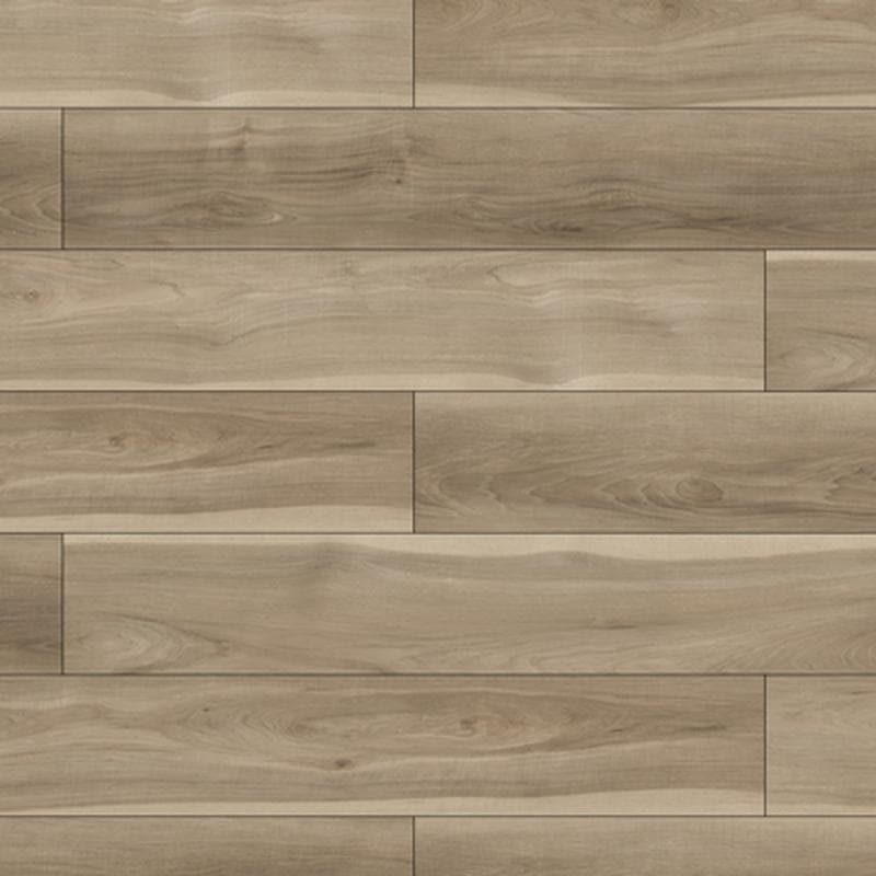 Daisy Prime Birch 20 mil 7x48 Field Luxury Vinyl Plank - Image 2