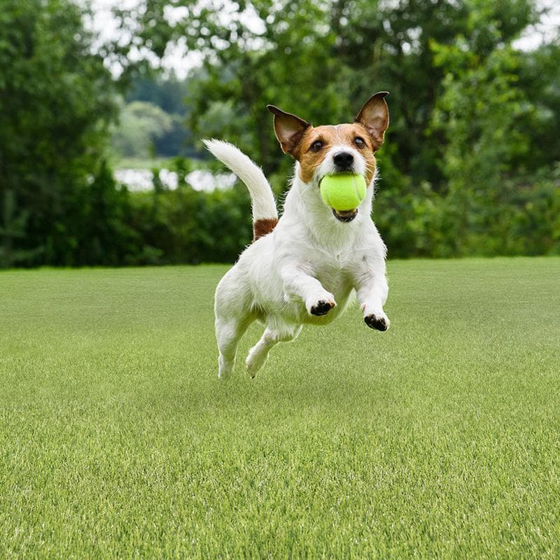 Emerald Green Turf 76 oz 40 mm - Image 11