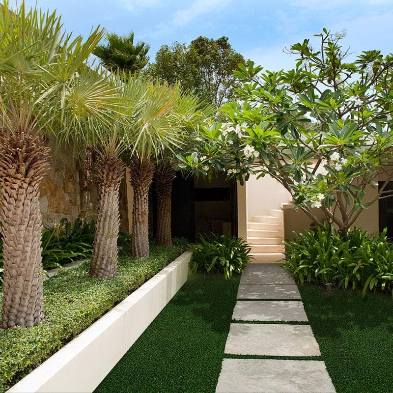 Summer Gold 96 oz 45 mm - Image 11