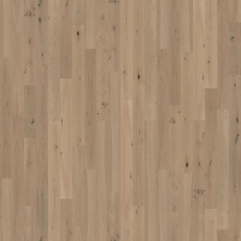 Meritage: Lost Coast Engineered Hardwood - Image 4
