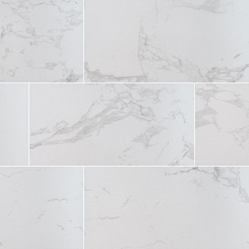 Praia Carrara Field Tile 24x48 Polished - Image 1