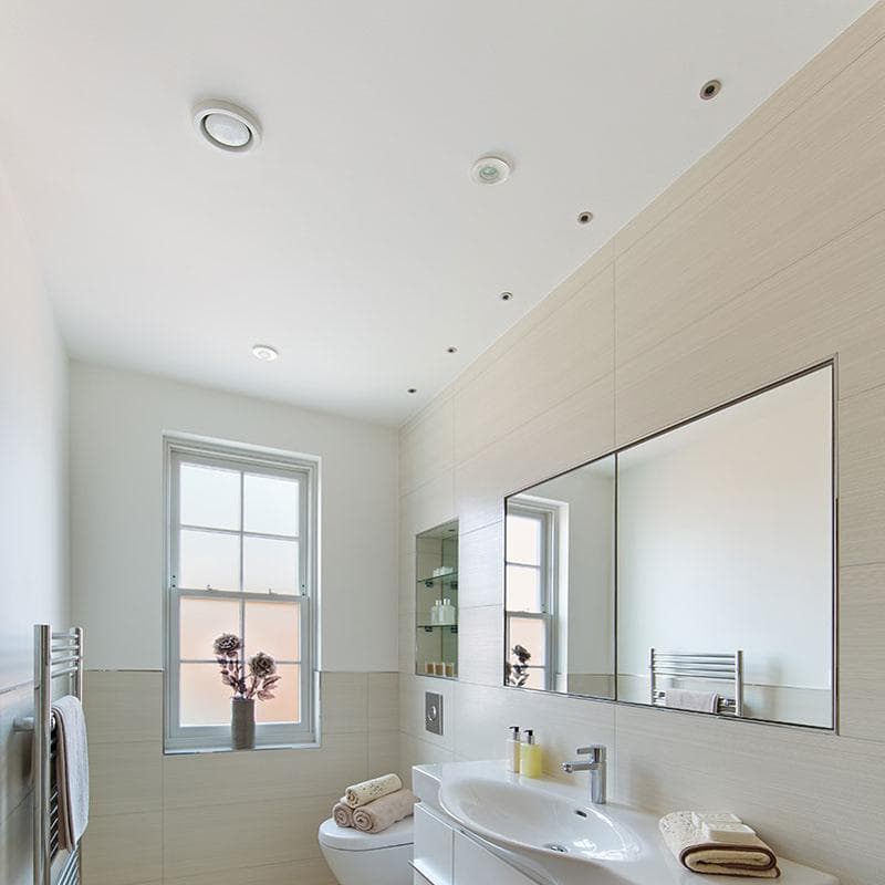 Praia Grey Field Tile 24x48 Polished - Image 5