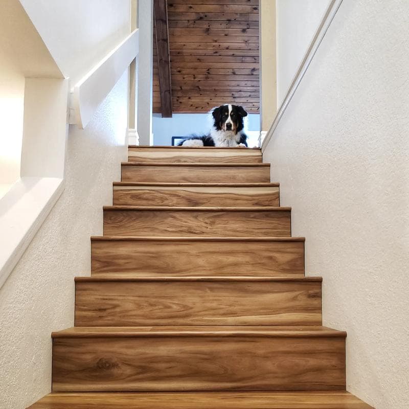 Windansea Low Tide Coastal Eucalyptus 20 mil 7x48 Field Luxury Vinyl Plank - Image 6