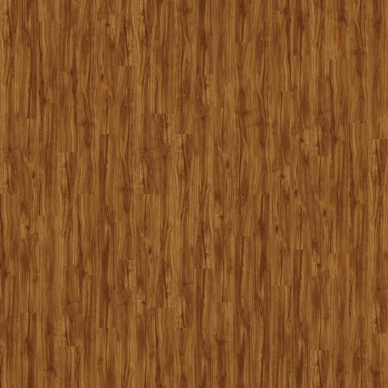 Windansea High Tide Classic Acacia 20 mil 9x72 Field Luxury Vinyl Plank - Image 1