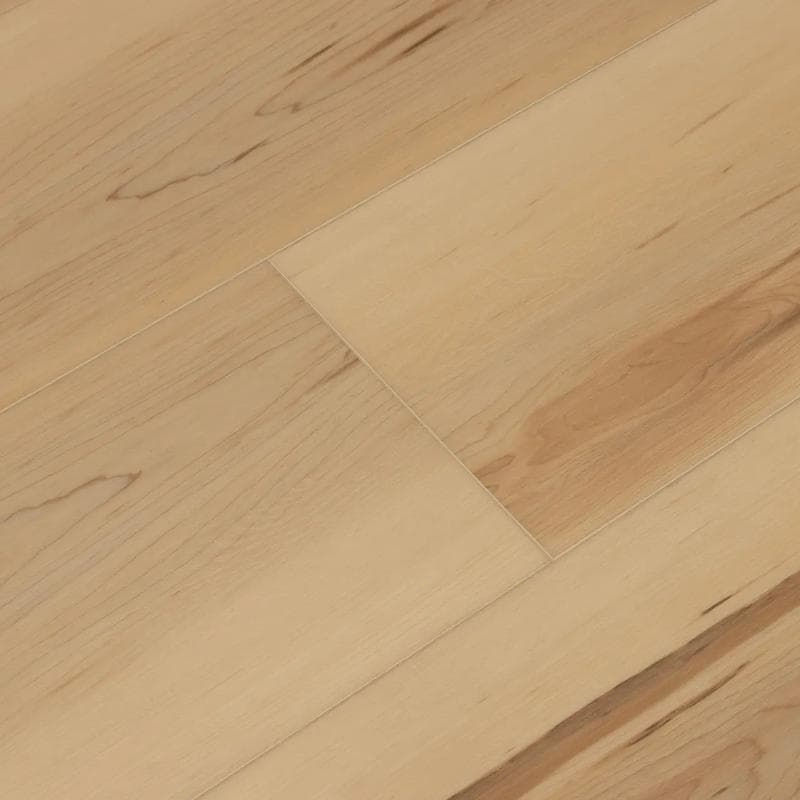 Longboards Morro Beige 20 mil 9x70 Field Luxury Vinyl Plank - Image 4