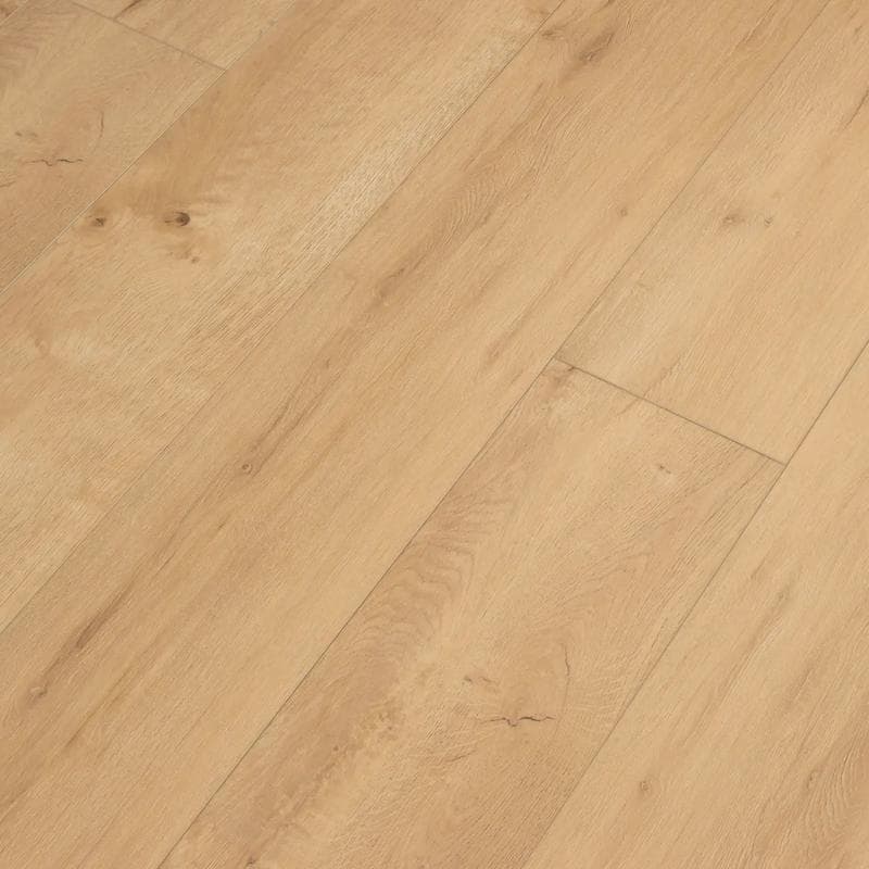 Legends Hidden Palm 20 mil 9x70 Field Luxury Vinyl Plank - Image 3