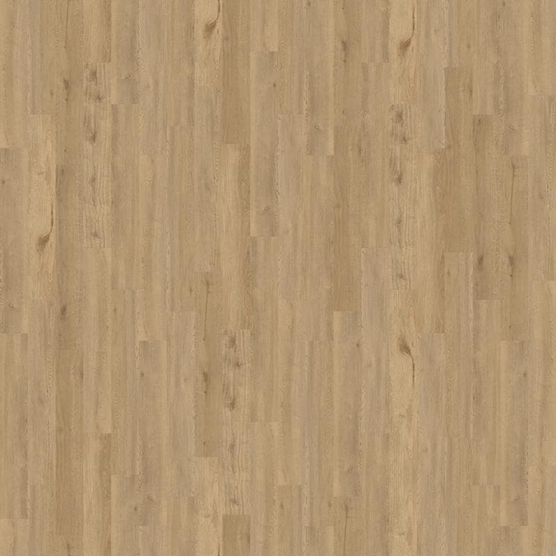 Laguna Cypress Preserve 20 mil 8x55 Field Luxury Vinyl Plank - Image 1