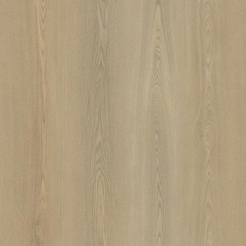 Grand Lux 5Mm Eleanor 9x60 - Image 1