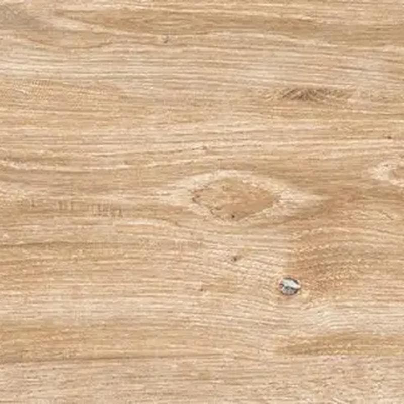 Everglade Forest 8x48 Rectified - Image 1