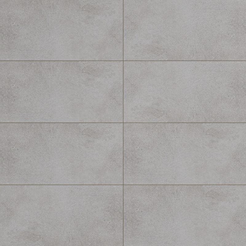 Pro Max Cement Unpolished 12x24 R - Image 1