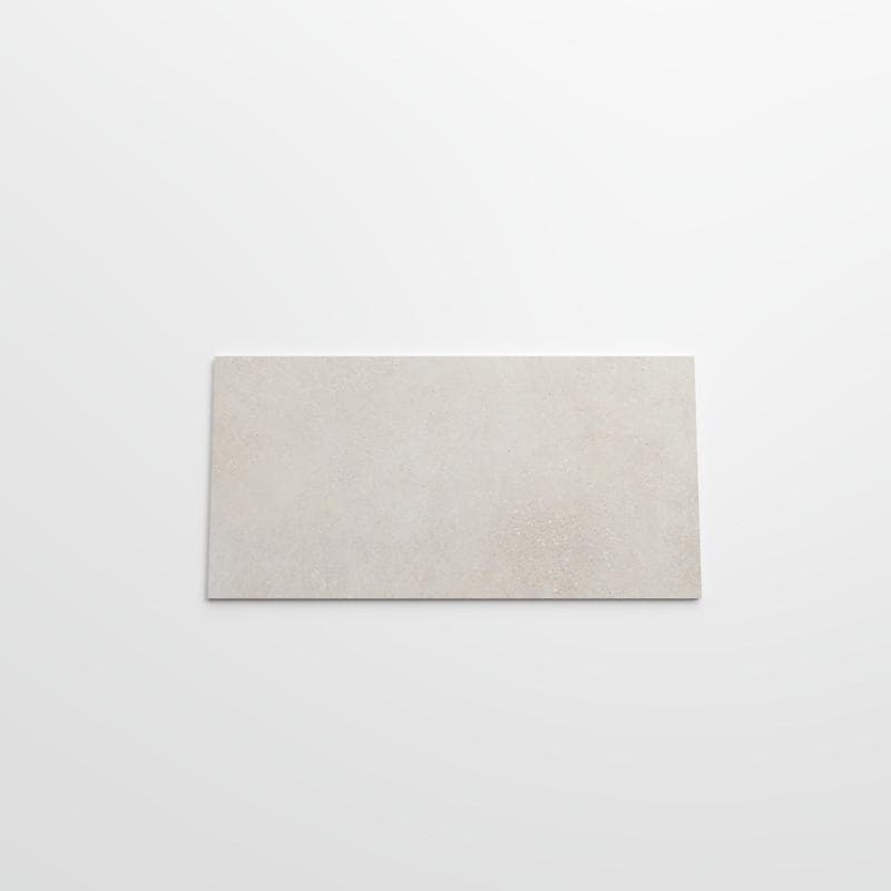 Pro Max Nude Unpolished 12x24 R - Image 2