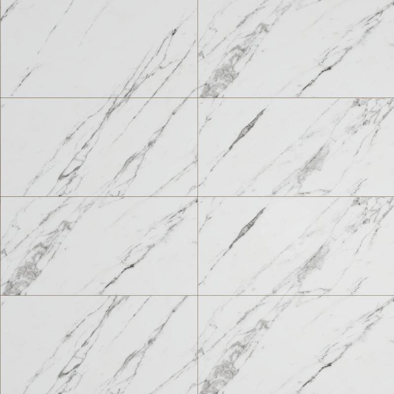 Venato 24x48 R Polished - Image 1