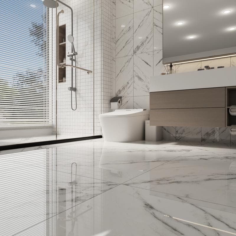 Venato 24x48 R Polished - Image 9