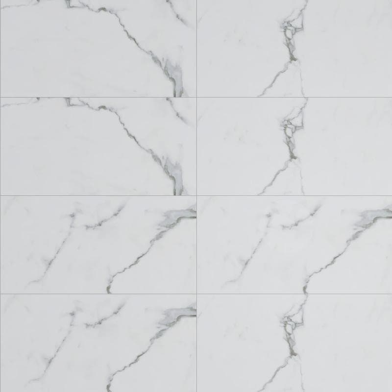 Bianco Venatino Polished 24x48 R - Image 1