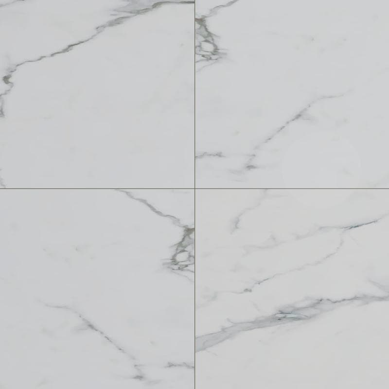 Bianco Venatino Polished 24x24 R - Image 1