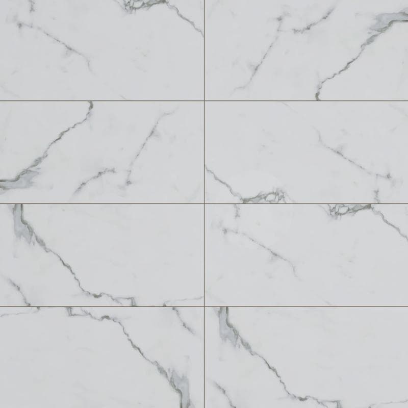 Bianco Venatino Polished 12x24 R - Image 1