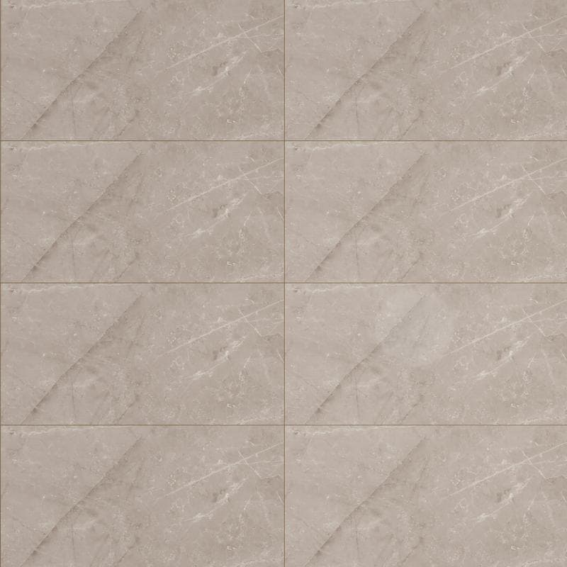 Jewels Etienne Gray Polished 24x48 R - Image 1