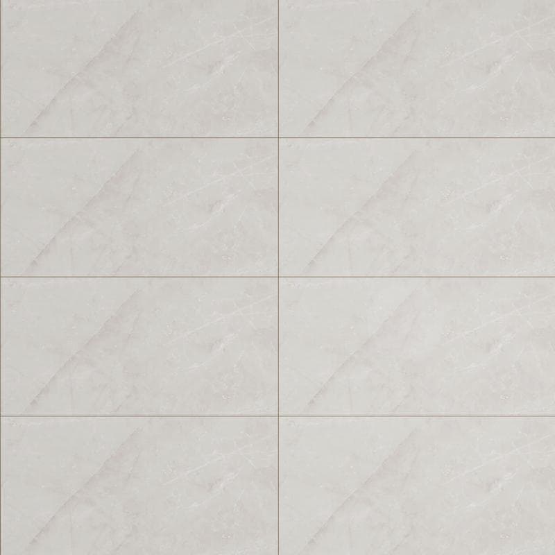 Jewels Etienne Light Gray Polished 24x48 R - Image 1