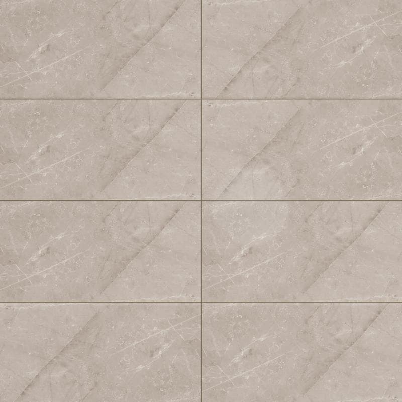 Jewels Etienne Gray Polished 12x24 R - Image 1