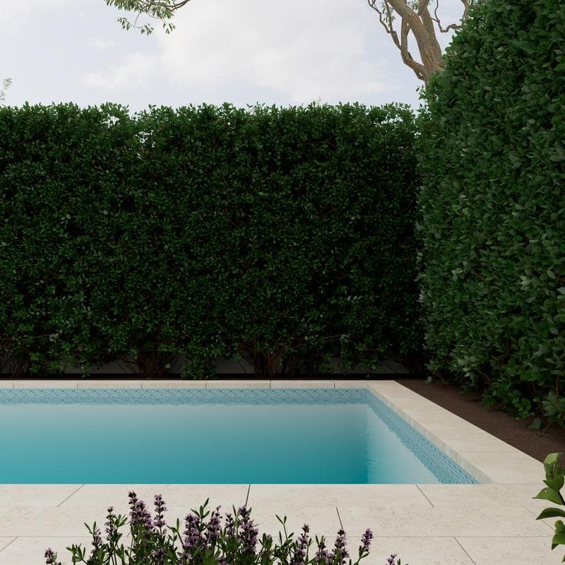 Cordoba Cream (Light/Ivory) Travertine Field Tile 24x24 - Image 13