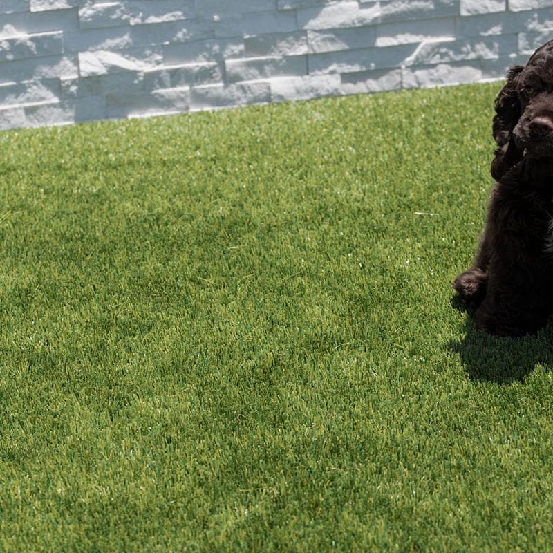 Viridian Green Turf 76 oz 40 mm - Image 8