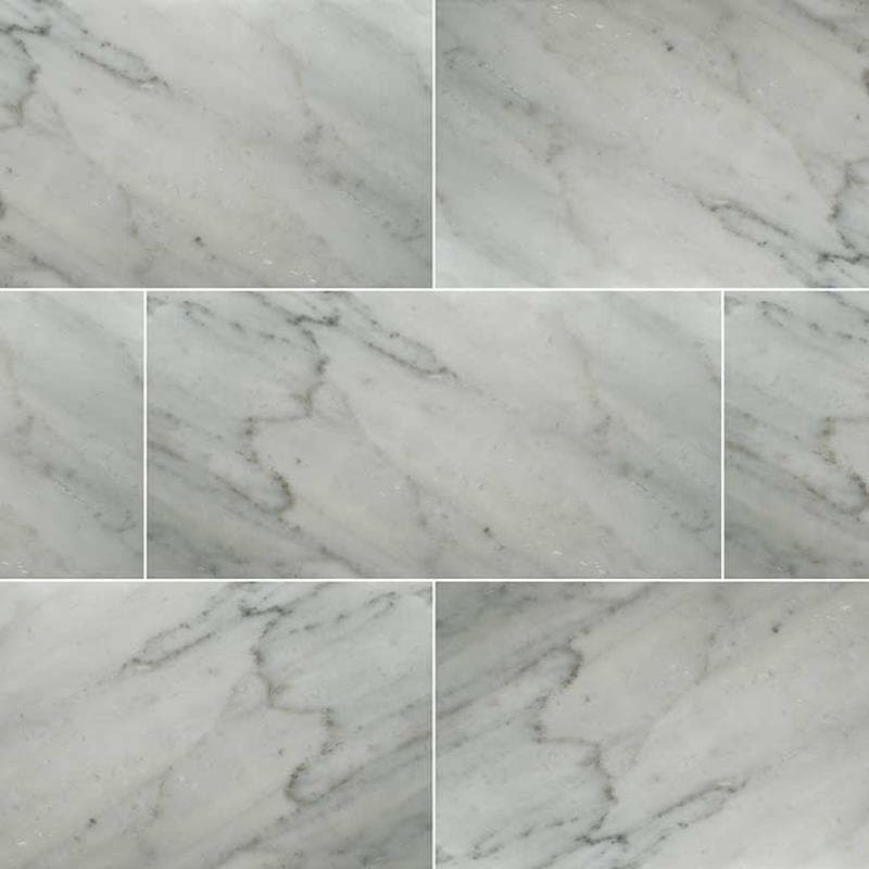 MSI Carrara White 12x24 Honed - Image 1