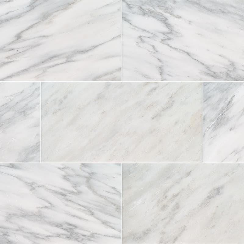 MSI Arabescato Carrara 12x24 Polished - Image 1